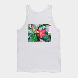 adenium obesum, desert rose, nature, flower, adenium, plant, rose, plants, succulent, desert, beautiful, pink, floral, obesum, flowers Tank Top